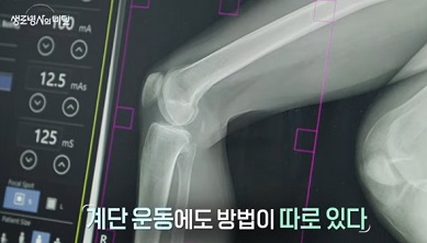 계단운동
