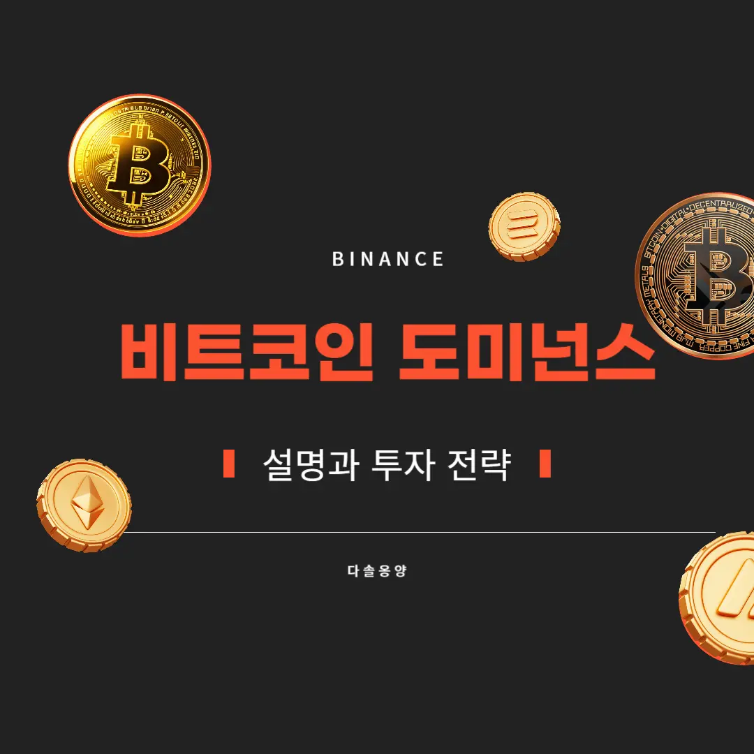비트코인 도미넌스 설명과 투자 전략