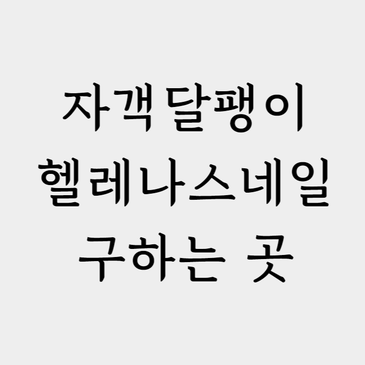 자객달팽이 헬레나스네일