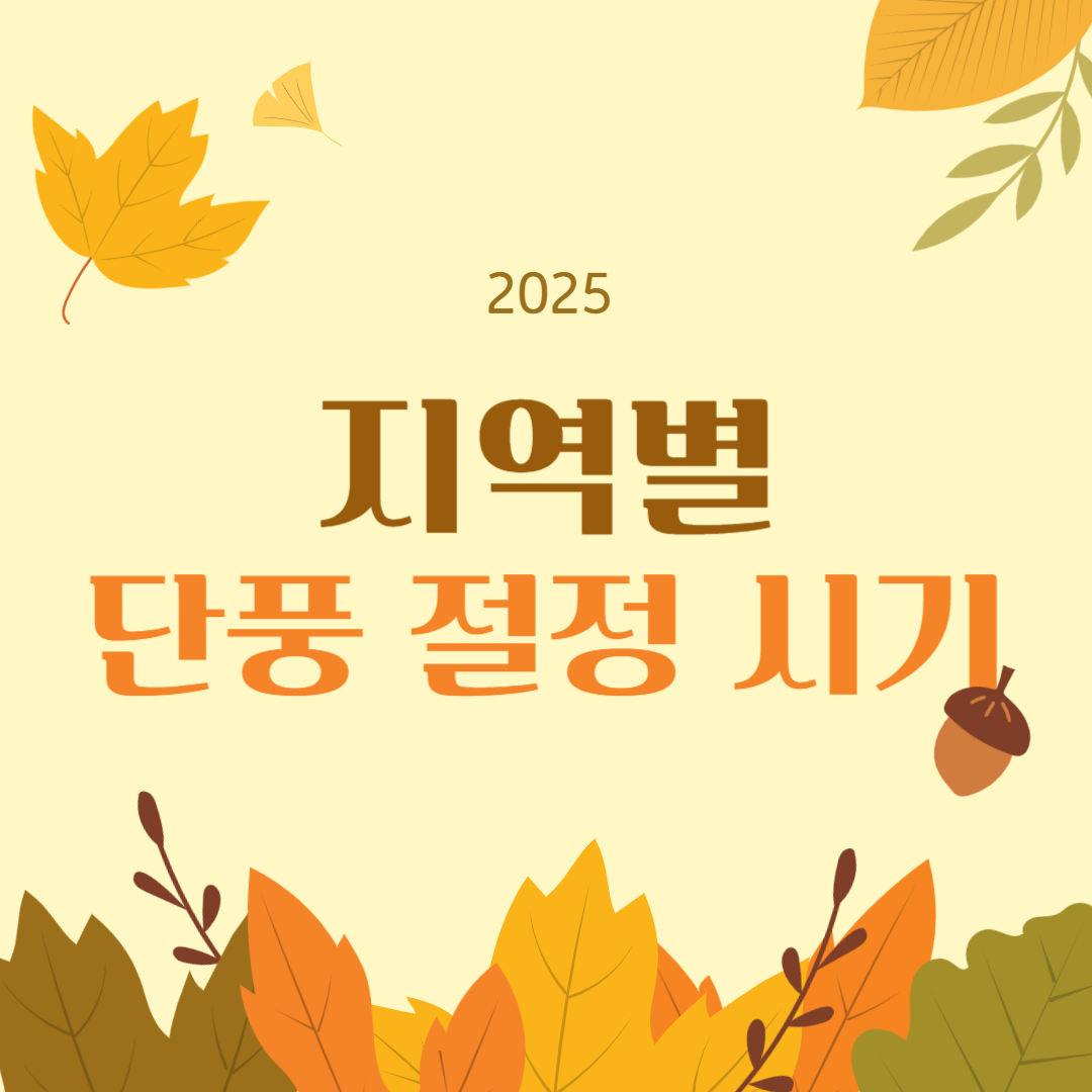 서울·강원·전라도 지역별 단풍 절정