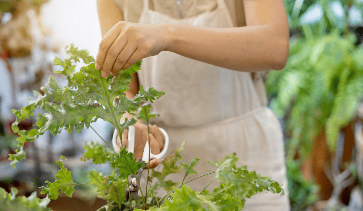 소상공인_지원금_신청_24