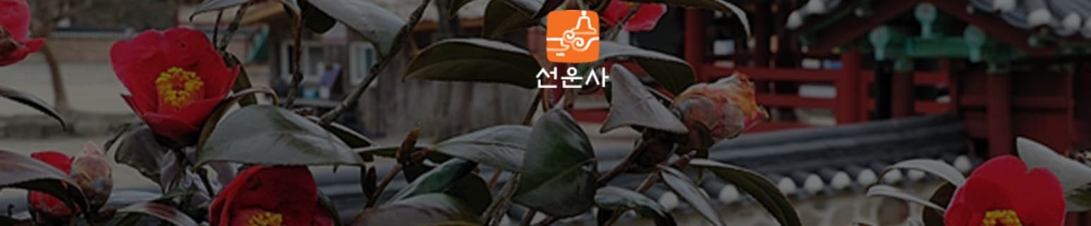 [4월 축제]사계절의 모습이 다 아름다운 고창 선운사❘동백꽃, 홍매화 사진 이벤트