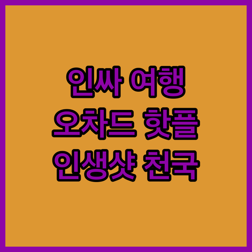 인싸 여행객 필독! 싱가포르 오차드 