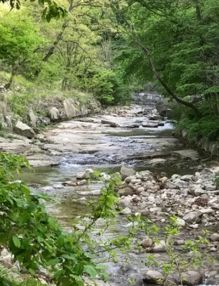 영광 물놀이 하기 좋은 계곡