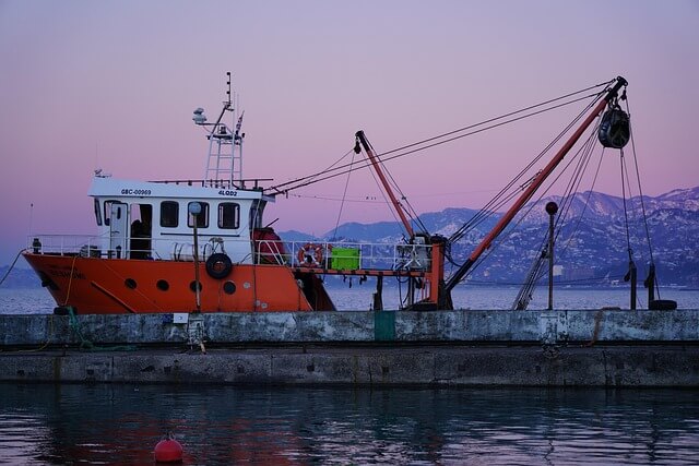 농어촌 기본소득 신청 방법 주의사항