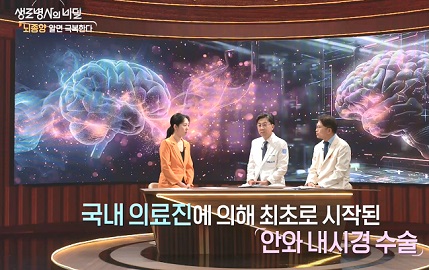 안와내시경수술