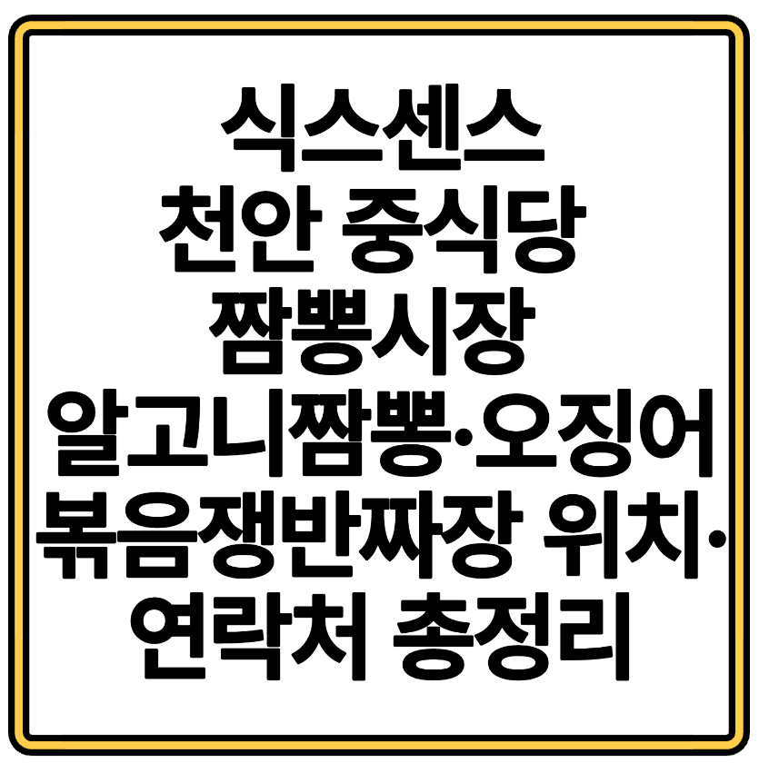 식스센스 시티투어3 천안 중식당 짬뽕시장 알고니짬뽕·오징어볶음쟁반짜장 위치·연락처 총정리