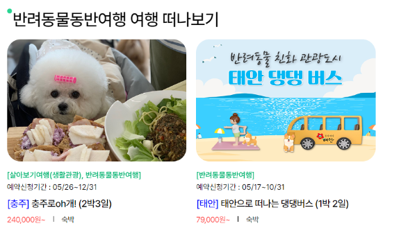 반려동물동반여행 - 여행가는달