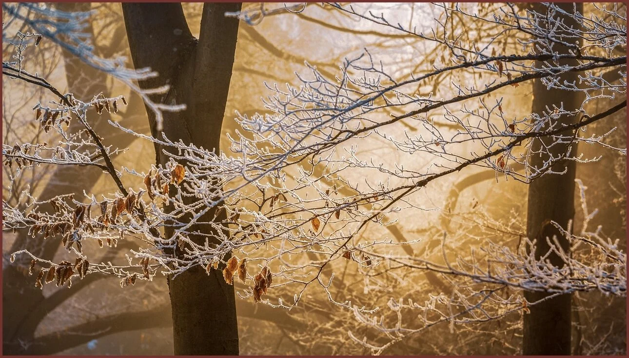 적금 금리 높은곳