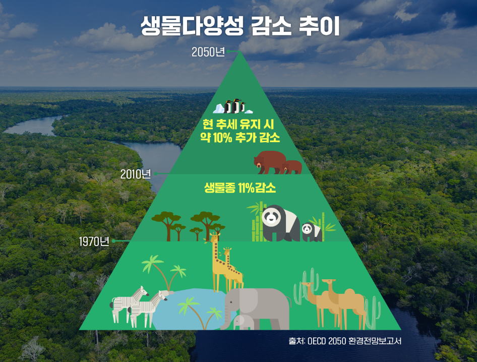 생물다양성 감소추이