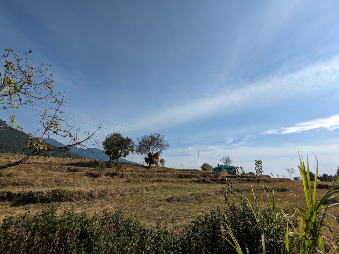 Agricultural