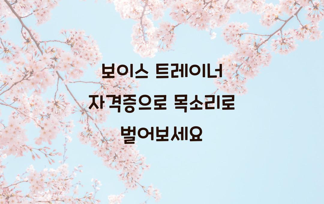 보이스 트레이너 자격증, 목소리로 돈 벌 수 있을까? 강사·1:1 코칭 루트 정리