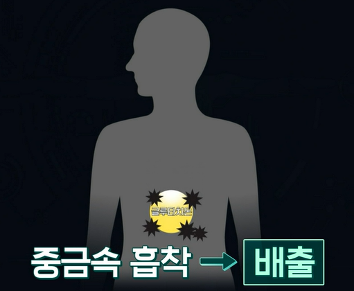 글루타치온 효능