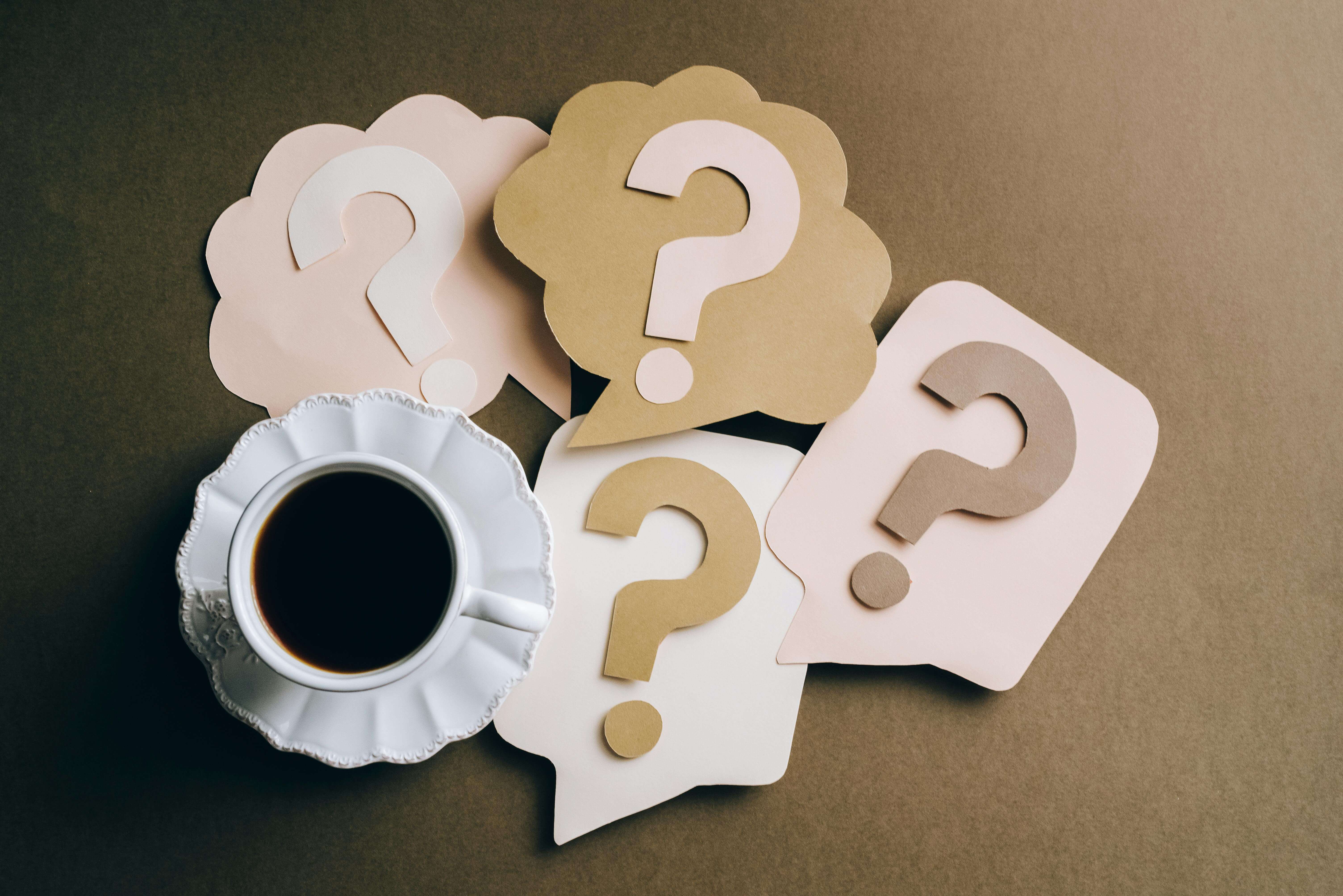 보호자가 가장 많이 묻는 펫보험 보험금 청구 FAQ 10가지 총정리