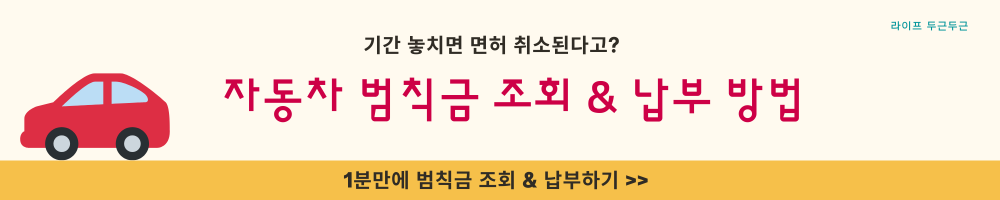 교통 범칙금 조회 종류 카드납부 앱 과태료 교통민원24