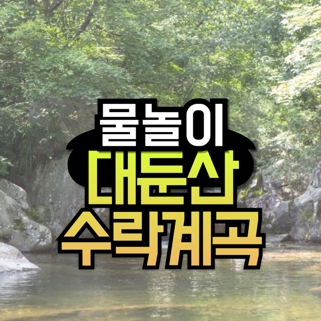 대전근교 물놀이 대둔산 수락계곡 추천