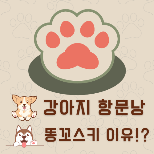 강아지 똥꼬스키의 이유 항문낭, 짜야 할까?