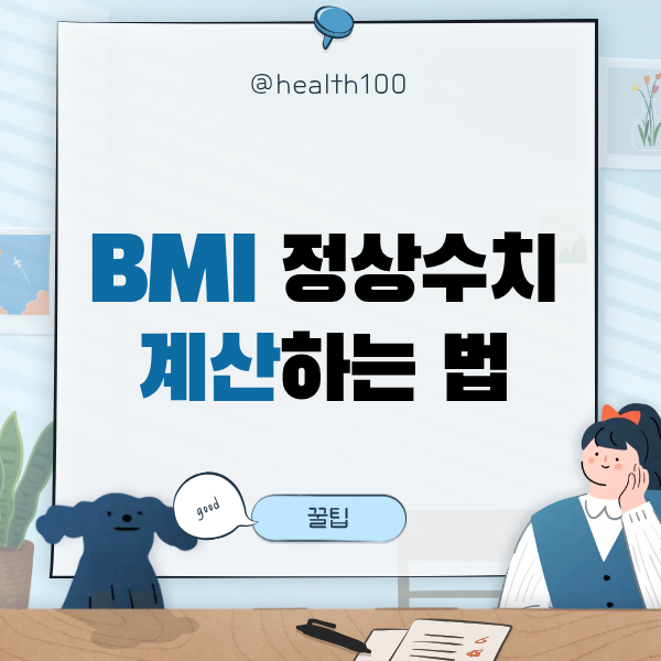 BMI 정상수치 계산