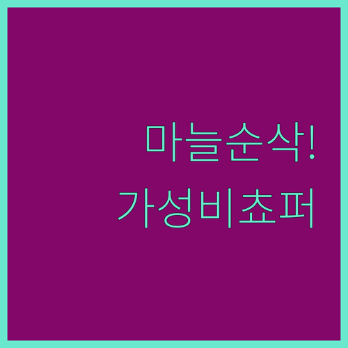 가성비 무선 마늘 다지기 쵸퍼 추천 ..