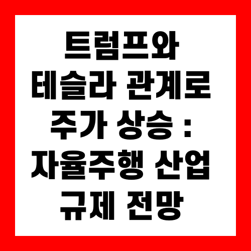 트럼프와 테슬라 관계로 주가 상승 : 자율주행 산업 규제 전망