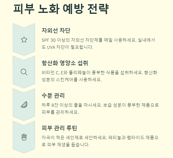 피부 노화 원인 및 예방법(방지비법)