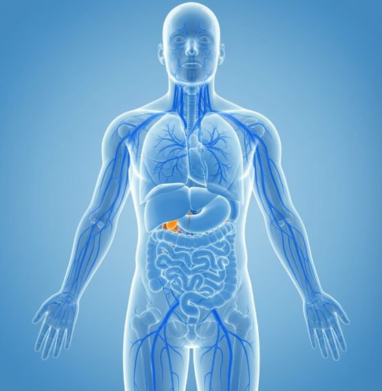왜 물을 자주 마셔야 할까?