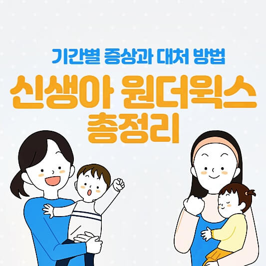 원더윅스-총정리