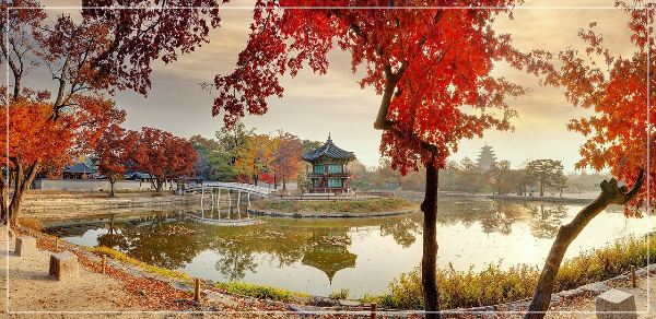 경복궁 향원정 전경 이미지 / 출처: 궁능 유적 본부