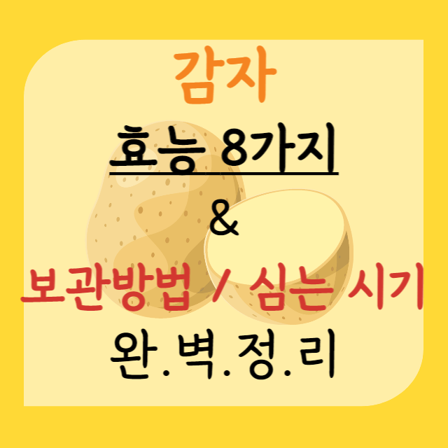 감자의-모든것-안내-포스터