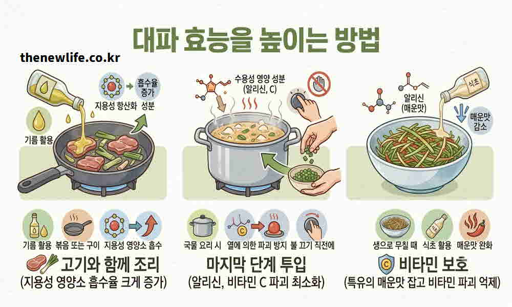 대파 효능 높이는 요리