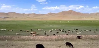 몽골 여행 날씨 필수 준비물_21