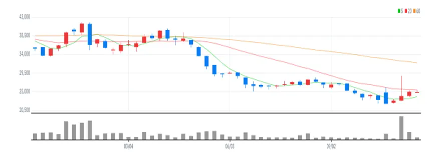 롯데정보통신 주봉