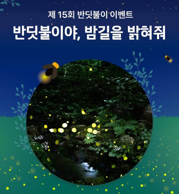 화담숲 반딧불이 축제 2025 사전예약 (+일정 관람포인트까지)
