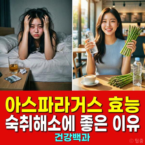 아스파라거스 효능 숙취해소