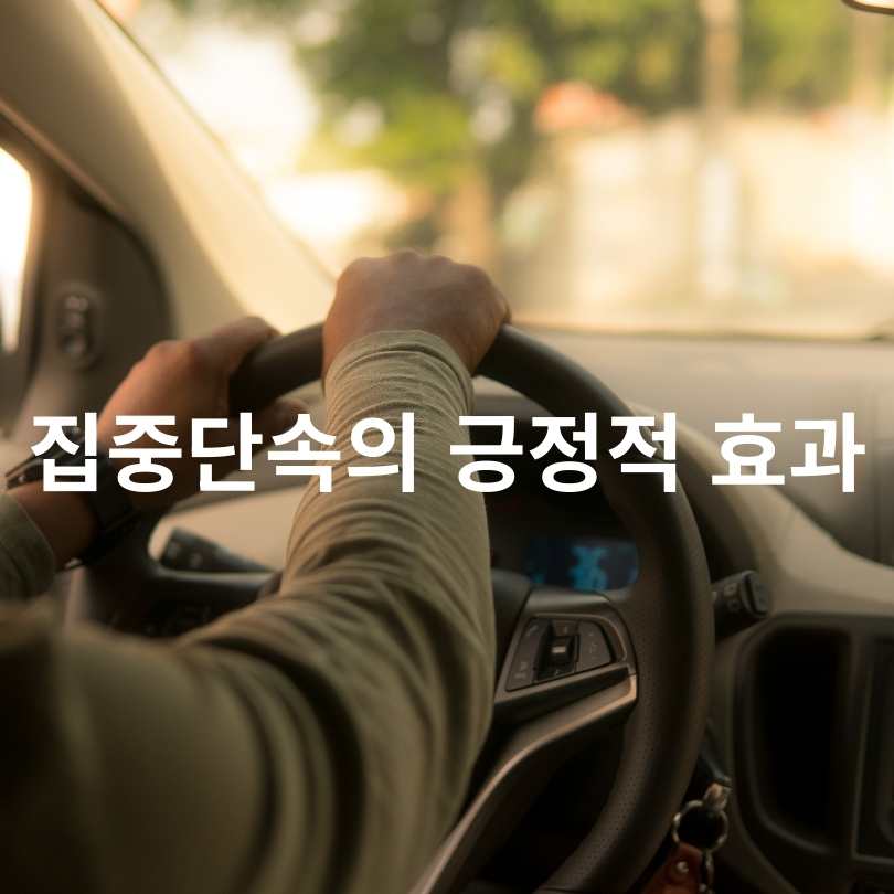 5대 반칙운전 집중단속