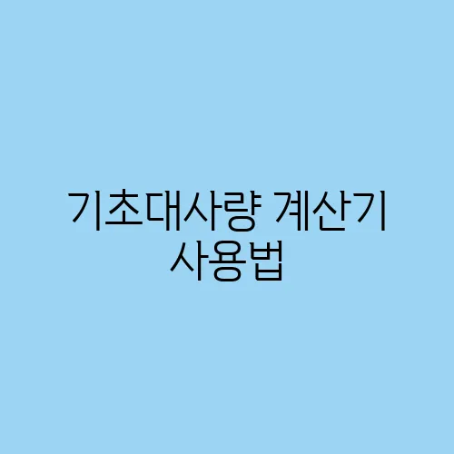 기초대사량 계산기 사용법