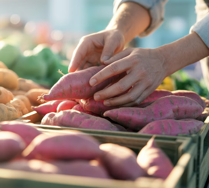 고구마 보관하는 법