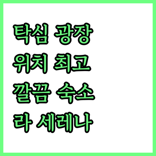 탁심 광장 근처 호텔 추천: 라 세레..