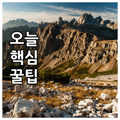 강남구 2025년 장애인 무료급식 결..