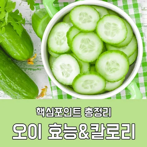 gg_오이 칼로리_16