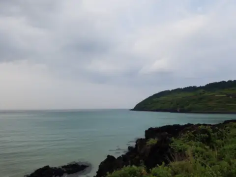 제주도-가을여행
