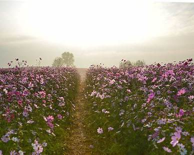 안성 팜랜드에서 즐기는 가족 가을 여행