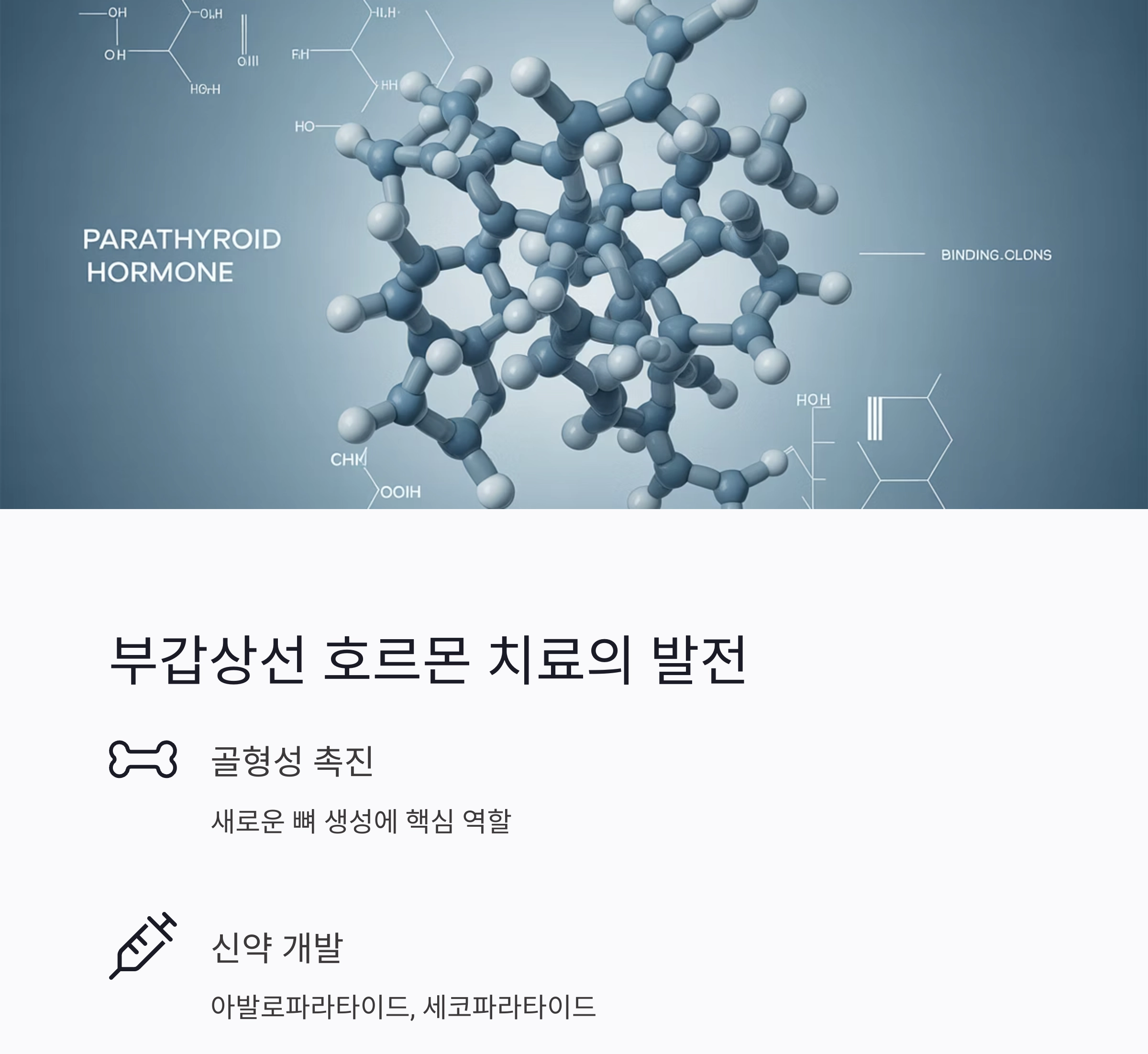 2025년 골다공증 치료법, 최신 업데이트 총정리