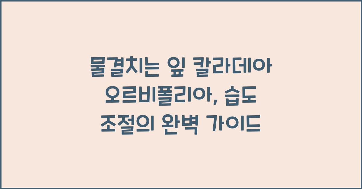 물결치는 잎 '칼라데아 오르비폴리아' 습도 관리 노하우