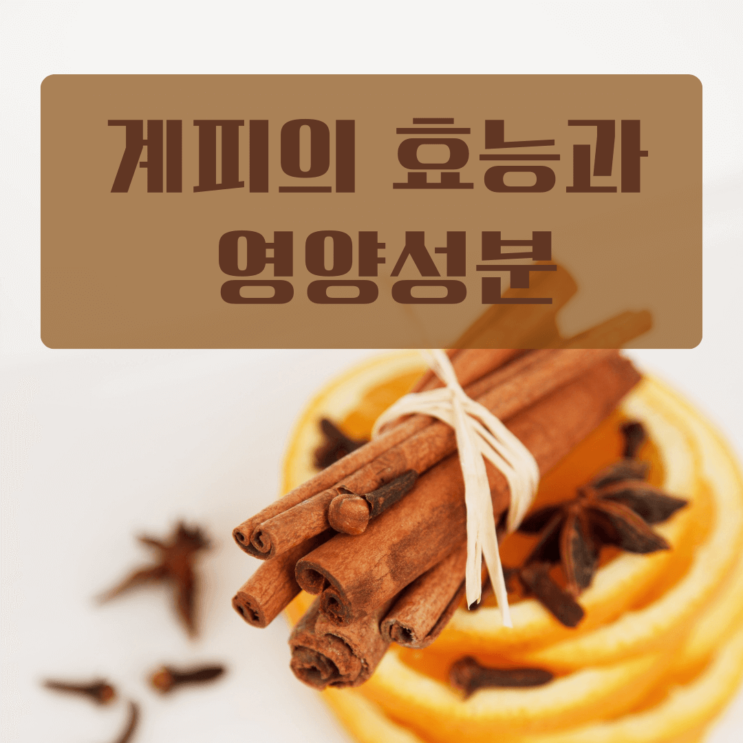 추운 계절에 특히 좋은 계피의 효능과 영양성분 주의할 점