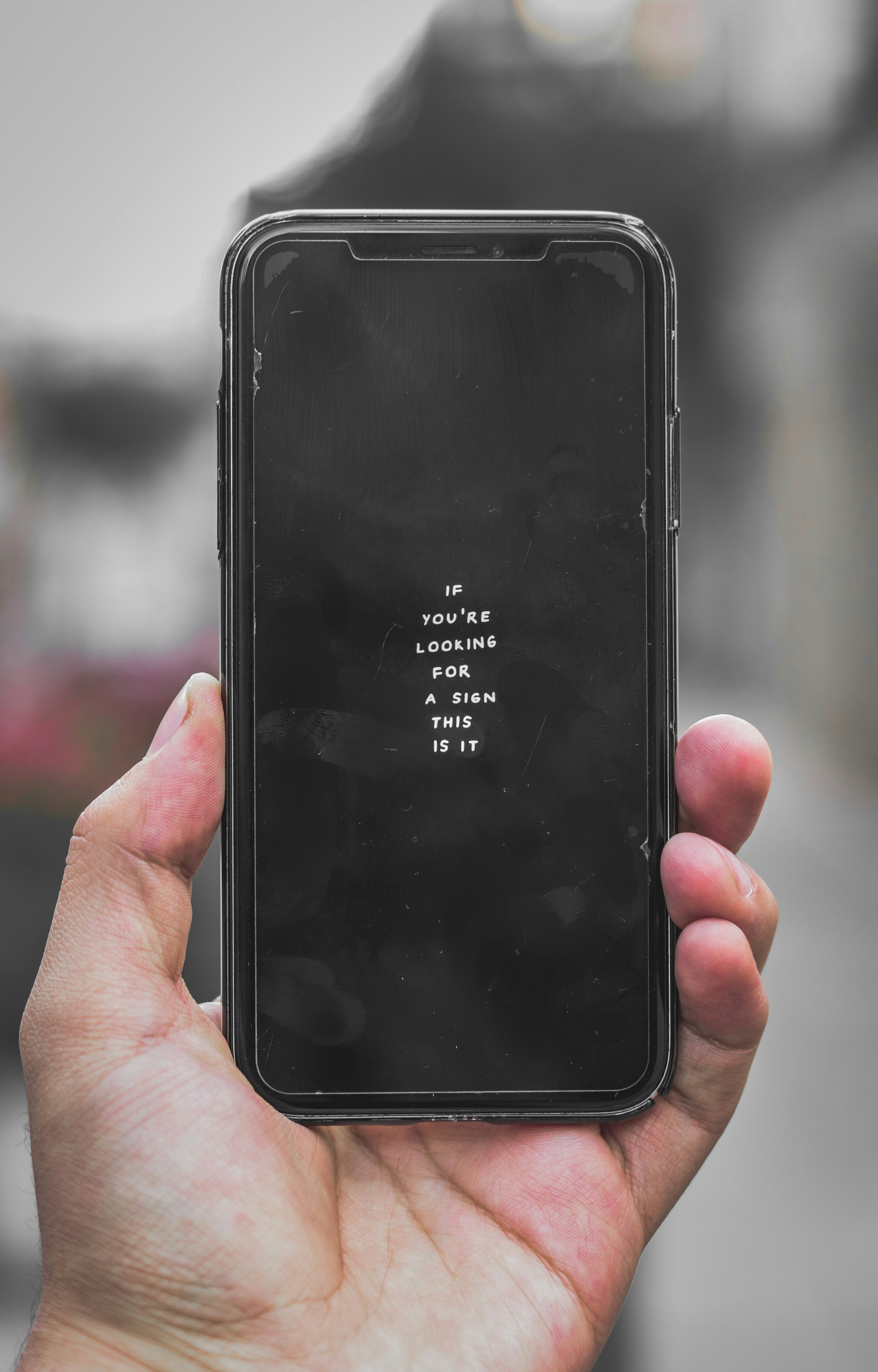 단통법폐지시행