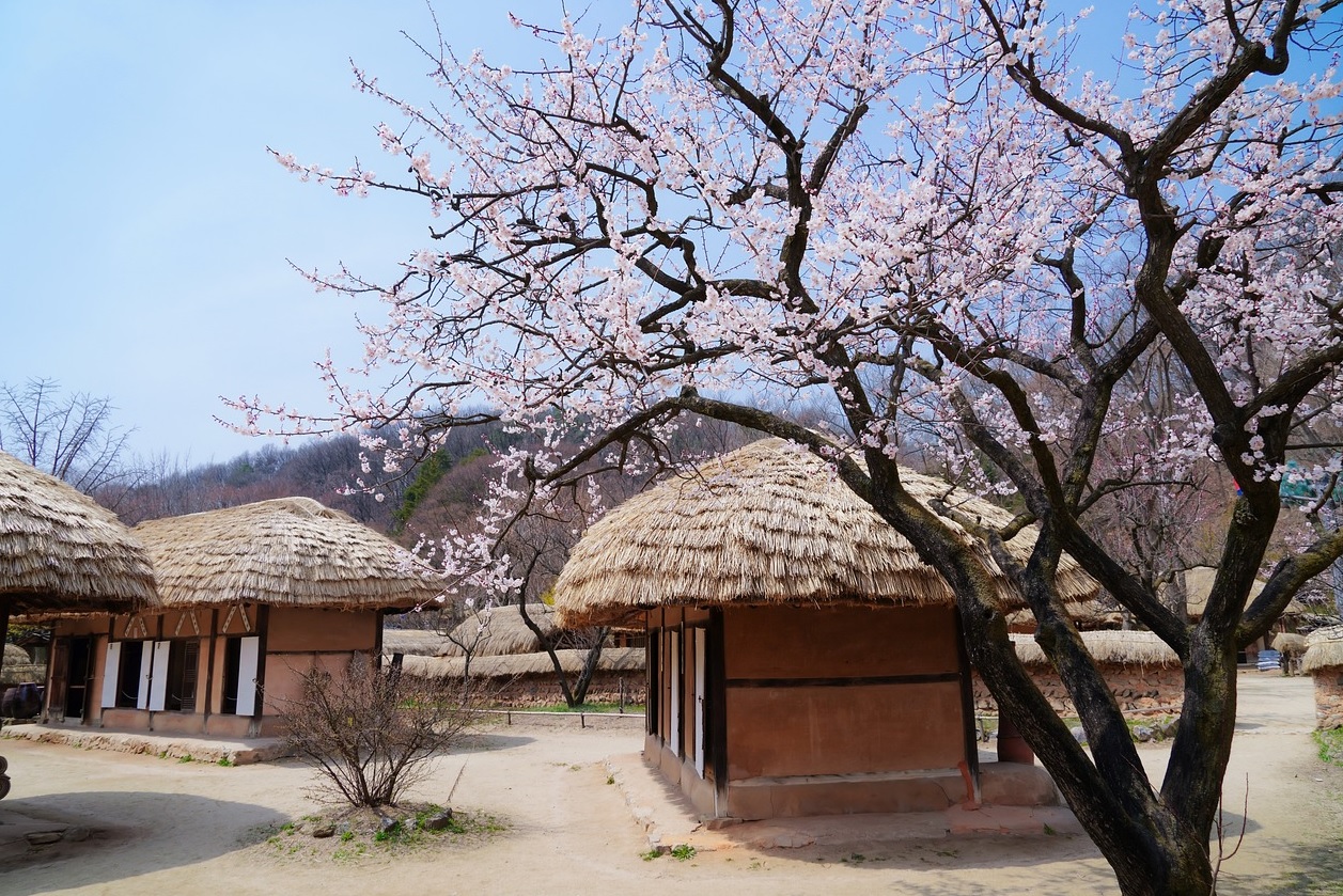 경기도 여행 관련 사진