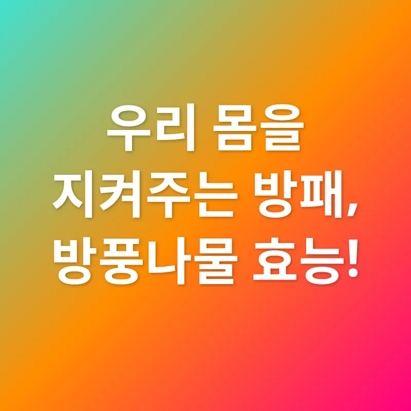 방풍나물 효능_2