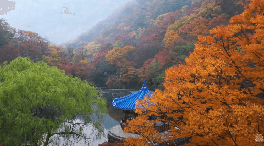 아름다운 가을 내장산
