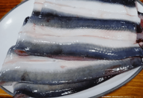 6시 내고향 함평 민물장어 전국택배 주문 판매처 월천수산